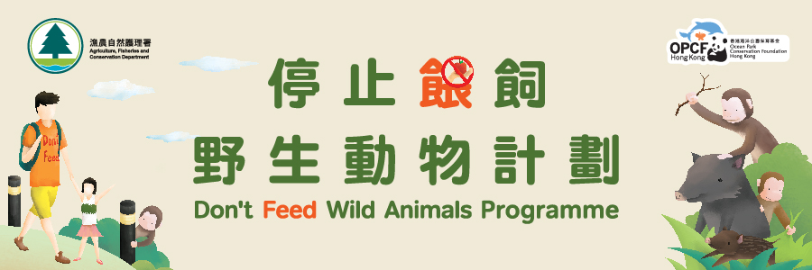 Please Dont Feed the Wildlife Funny