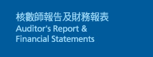 核數師報告及財務報表 Auditor's Report & Financial Statements